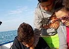DSCN0392