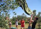 IMG 2574