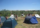 IMG 2581