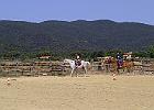 IMG-20120701-00201