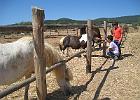 IMG 0054
