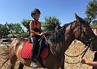 IMG 0844