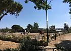 IMG 0848
