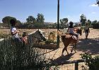 IMG 0851