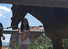 IMG 0852
