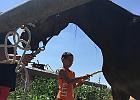 IMG 0854