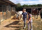 IMG 5720