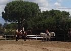 IMG 5726