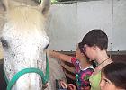 IMG 5730