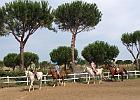 IMG 6049