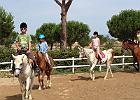 IMG 6050