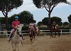 IMG 6053