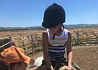 IMG 6906