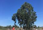 IMG 6913
