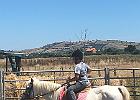 IMG 6923
