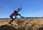 IMG 6931
