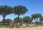 IMG 7083