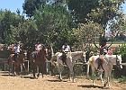 IMG 7084