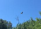 IMG 3837