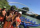 IMG 6958