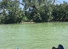 IMG 6979