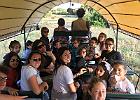 Escursione in carrozza