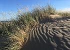 IMG 3683