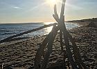 IMG 3687