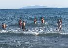 IMG 3853