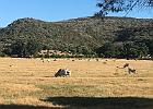 IMG 7341