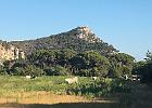 IMG 7385