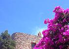 IMG 3540
