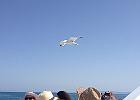 IMG 5861