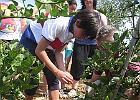 IMG 2271