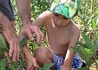 IMG 3601