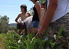 IMG 3603
