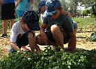 IMG 5894