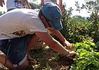 IMG 5897