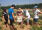 IMG 5901