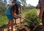 IMG 5905