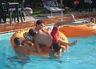 IMG 0382