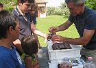 IMG 2485