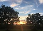 IMG 3576b