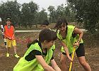 IMG 3715
