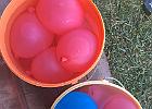 IMG 3855