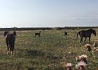 IMG 3894