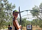 IMG 3934