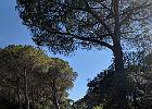 IMG 6003