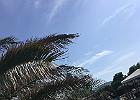 IMG 6790