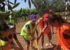 IMG 6834